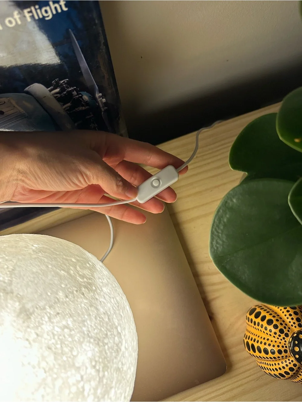 3D Printed Moon Lamp with Wooden LED Stand Lantern